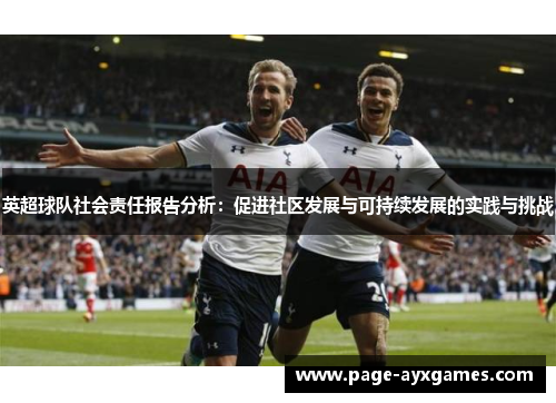 英超球队社会责任报告分析:促进社区发展与可持续发展的实践与挑战 英超球队社会责任报告分析:促进社区发展与可持续发展的实践与挑战