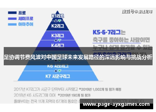 足协调节费风波对中国足球未来发展路径的深远影响与挑战分析