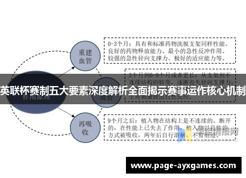 英联杯赛制五大要素深度解析全面揭示赛事运作核心机制 英联杯赛制五大要素深度解析全面揭示赛事运作核心机制