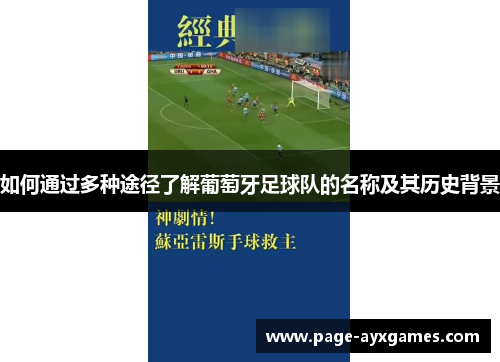 如何通过多种途径了解葡萄牙足球队的名称及其历史背景