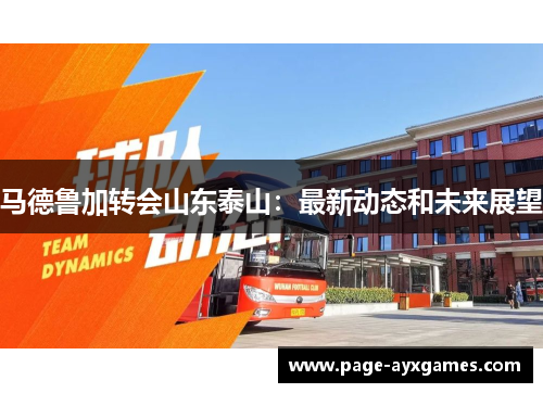 马德鲁加转会山东泰山：最新动态和未来展望